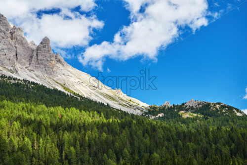 Dolomites mountains in the warm season. Green forest on foreground. Province of Belluno, Italy - Starpik