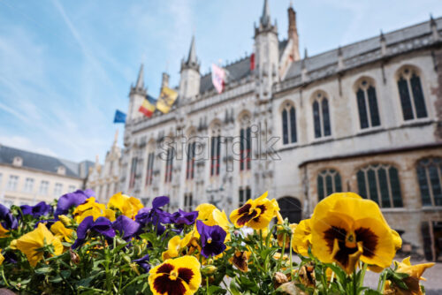 Flowers in markt square with Provincial Court on background. Bruges, Belgium - Starpik