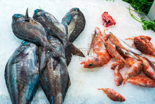 Fresh fish in ice at the market. Seafood for sell - Starpik