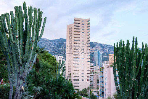 Monte Carlo at sunset. Green trees on foreground. Mountains on background. Monaco beauties - Starpik