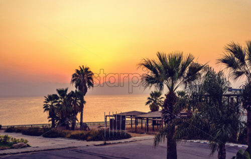 Orange calm sunrise view from hotel window. Reflection on water. Dark palm trees. Negative copy space, place for text. Protaras, Cyprus. - Starpik