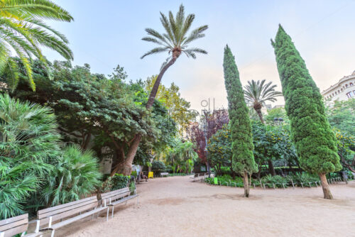 Park in BARCELONA,SPAIN - Starpik