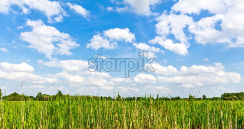 Picturesque landscape from green grass field. Bright blue sky with clouds on background. Negative copy space, place for text. Giethoorn, Netherlands - Starpik