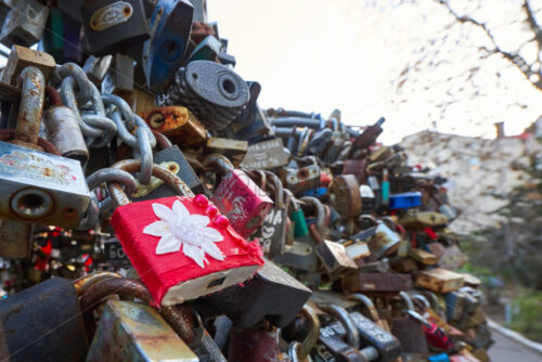 Shot of multiple padlocks locked on the love monument in Odessa and beautiful red lock with white flower on it - Starpik