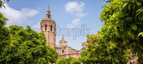 Valencia Cathedral and orange trees in old town, Spain - Starpik