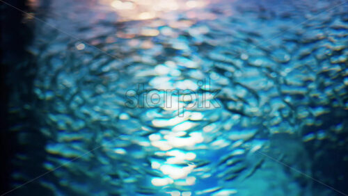 Video A school of Blue maomao fish swimming near coral reefs - Starpik Stock