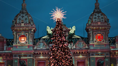 Video Monte Carlo , Monaco -December 23, 2024: Lighted Christmas tree in front of the Monte Carlo Casino in the evening - Starpik Stock