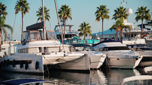 video Golfe-Juan, France – October 8, 2024: White boats docked in the Port de Golfe-Juan - Starpik Stock