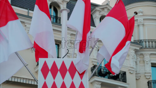 video Monte Carlo, Monaco – October 24, 2024: The coat of arms of Monaco and multiple flags waving in front of the Hotel de Paris - Starpik Stock