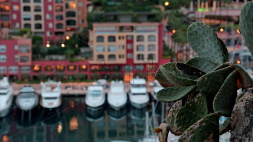 video View of boats docked in the Port de Fontvieille with the skyline of Monaco on the background in the evening - Starpik Stock