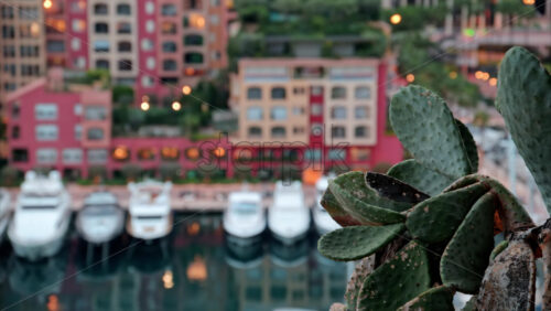 video View of boats docked in the Port de Fontvieille with the skyline of Monaco on the background in the evening - Starpik Stock