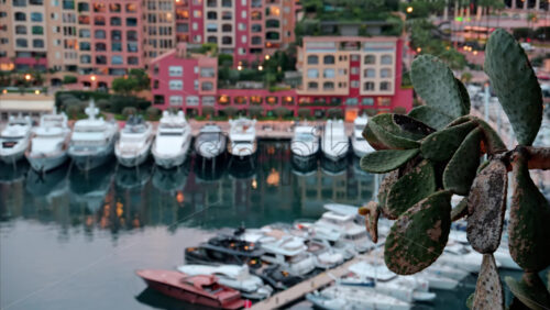 video View of boats docked in the Port de Fontvieille with the skyline of Monaco on the background in the evening - Starpik Stock